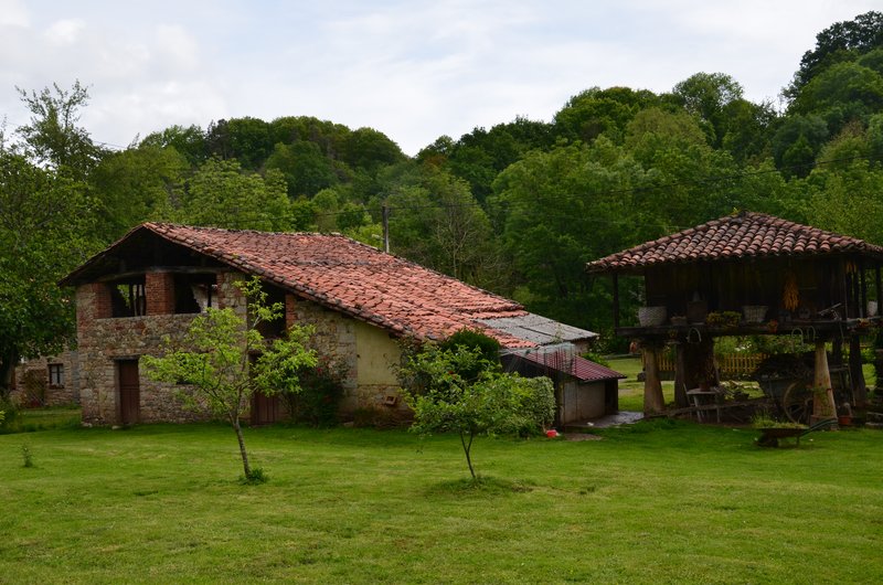 PAISAJES RURALES-16-5-2013-ASTURIAS - Paseando por España-1991/2016 (11)