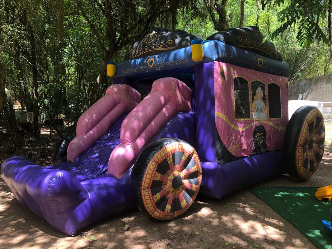 Carruagem Luxo - Foto 1