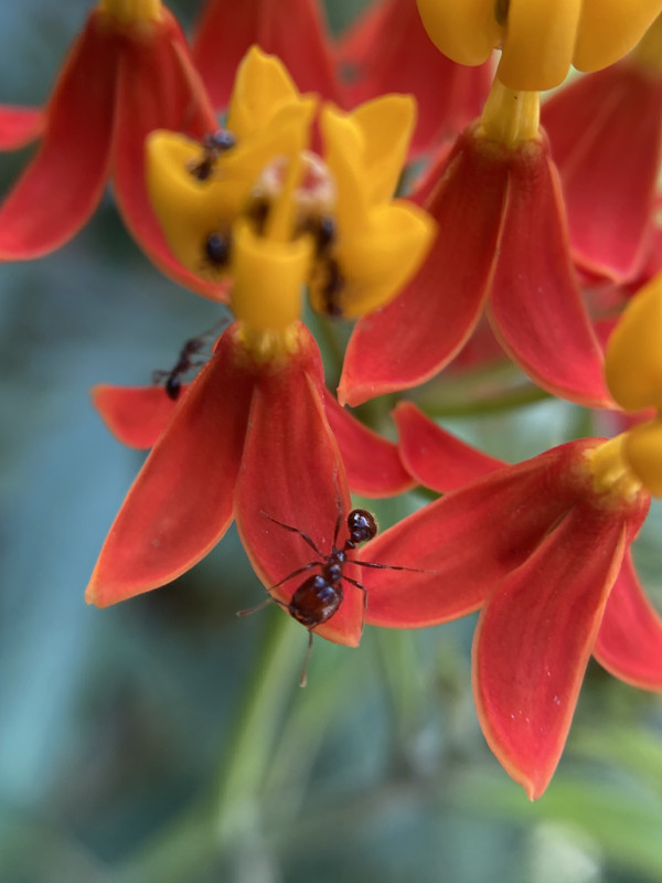 07F71A4A-8497-4465-A7FC-0A3D2E9363AE