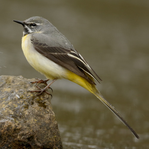 D9BFFC22-FBEE-4D80-B4EF-7384A414601C