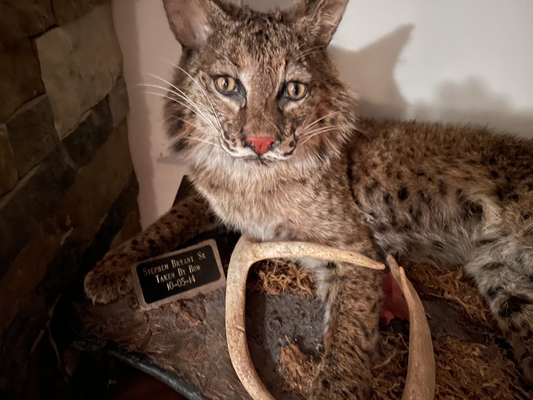 8BF9041E-E86B-45D0-A03C-4613F79880E7