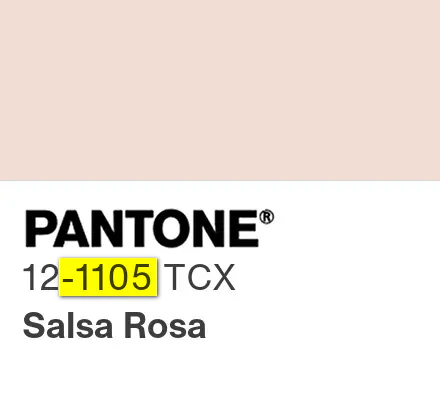 1105_pantone_color_chip.webp