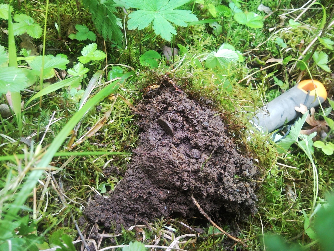 2015-05-31 @14-34-17-10 penniä