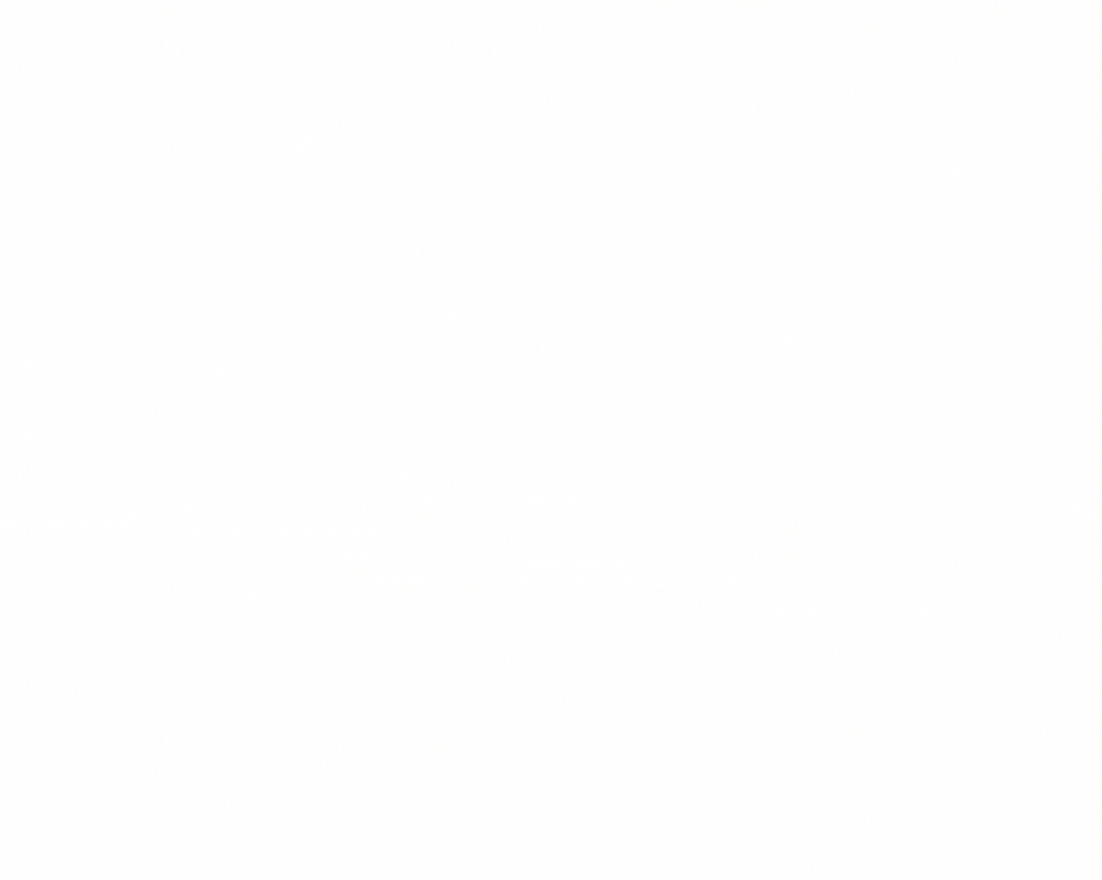 SSRP-1.gif