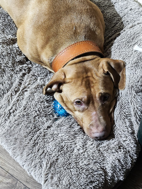 69AC574B-0246-48D1-B876-320F8F4A5CFB