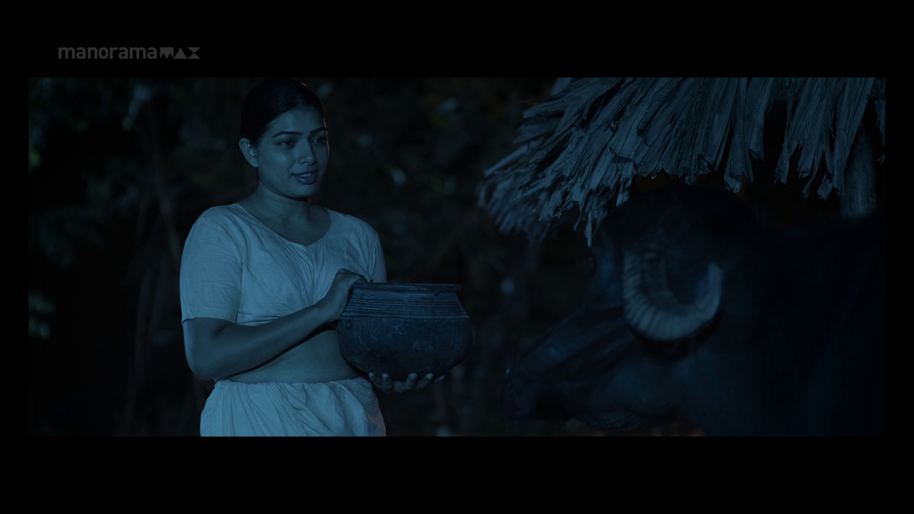 vlcsnap 2026 02 02 13h49m31s836