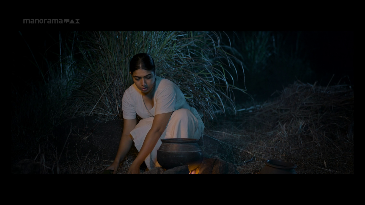 vlcsnap 2026 02 02 13h49m07s519