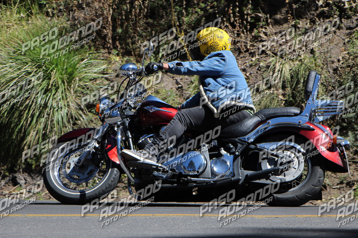 IMG 3868 wm 354572 5 watermarked — Postimages