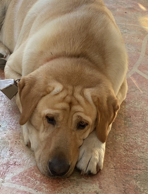 30936423-F16E-4EAC-8848-F348B79C4A4E