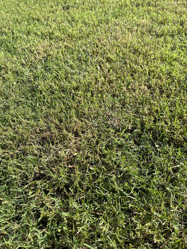 5441F9B4-5CD3-4890-B170-C6B43AAE6495