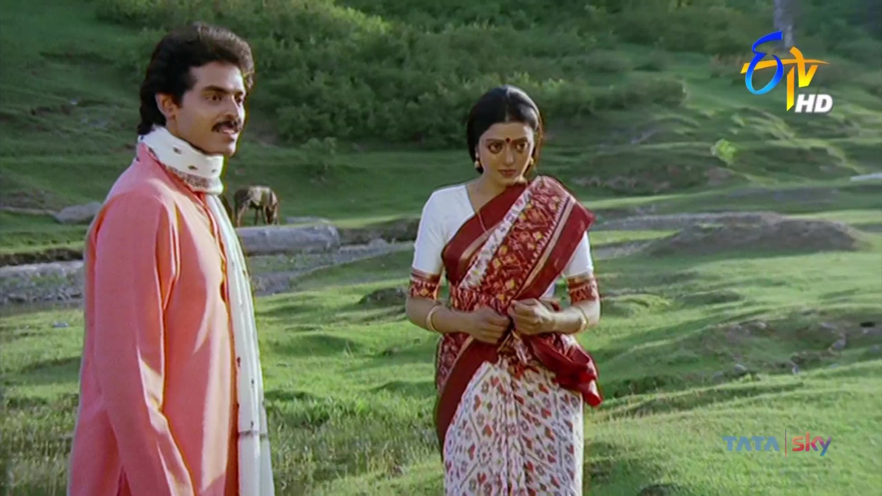 vlcsnap-2021-04-22-15h24m52s314