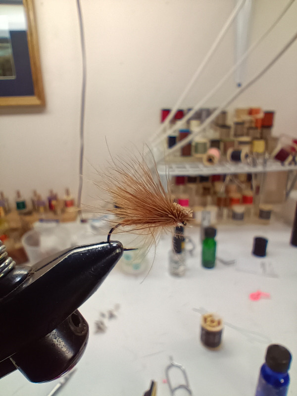 IMG_20251016_153710601