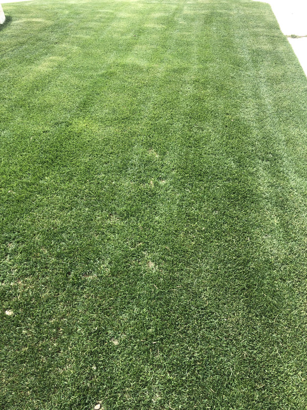 28C849DD-B4F0-4AAF-B26F-A48C5C7E08A1