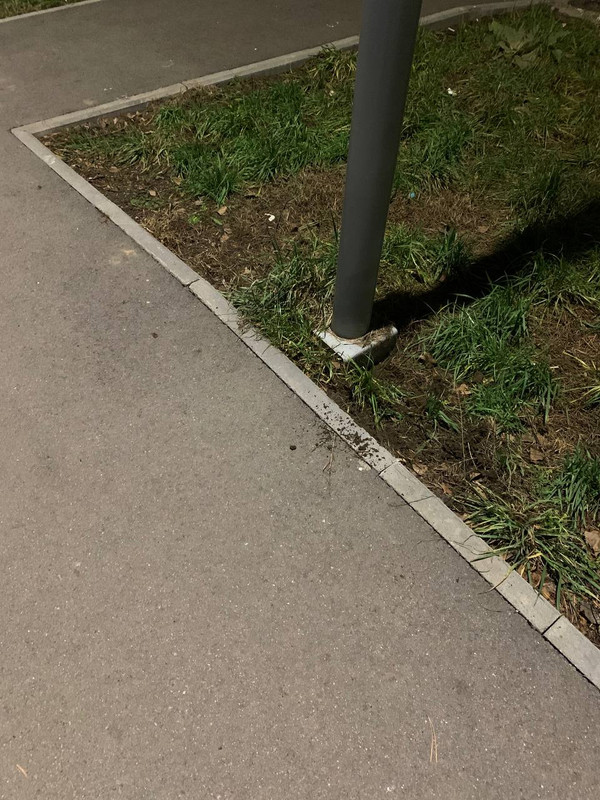 photo 4 2025 11 25 21 12 50