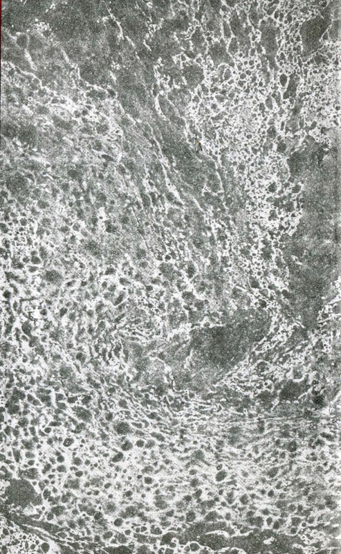 p0002