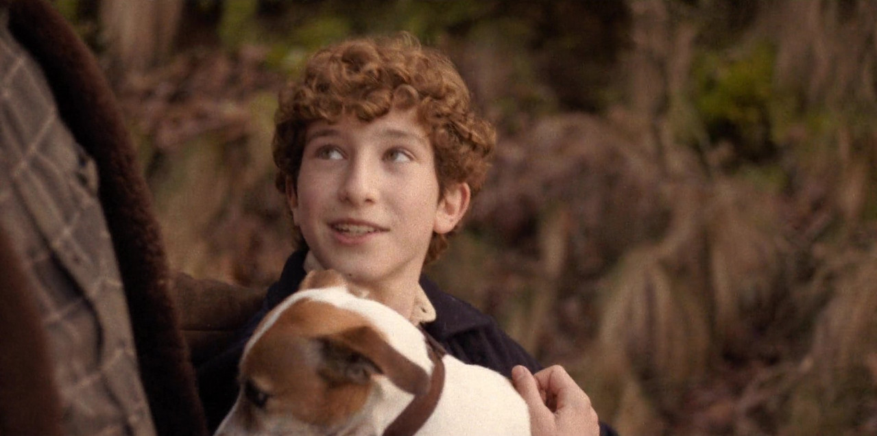 cat-2025-11-14-08h41m01s877