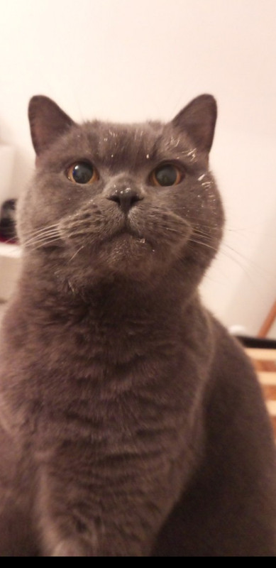 Screenshot_20221204-162720_Telegram