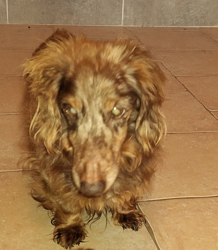 [Image: 20240328-100718.jpg]