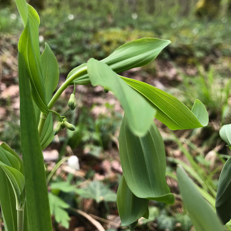 37F28F82-3F05-48B0-8644-6364807CB1C0