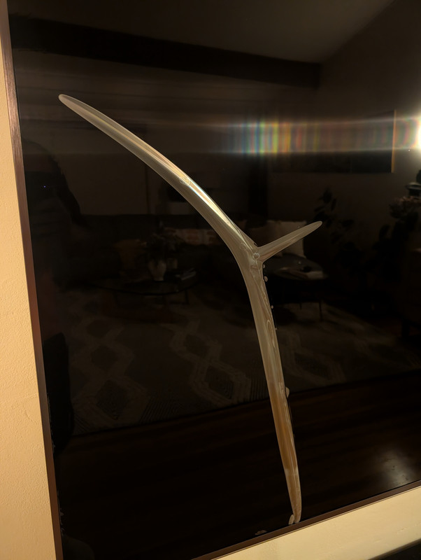 PXL 20251102 085252654