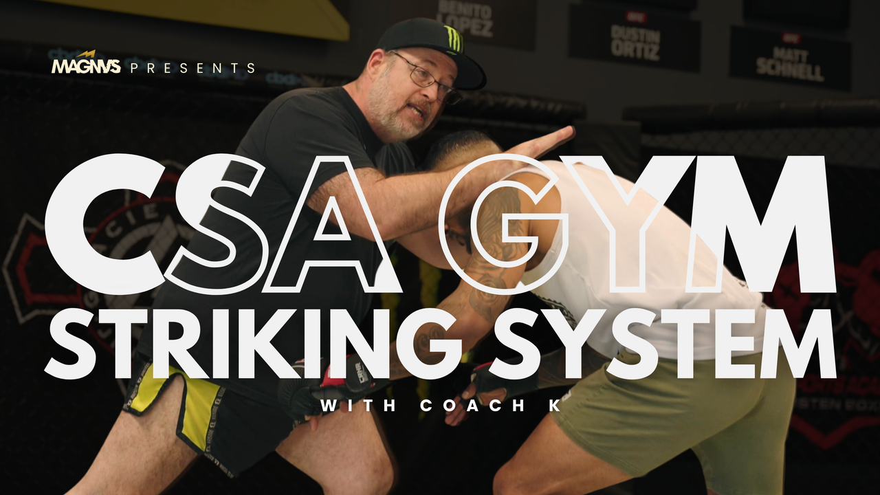 CSA Striking System Course