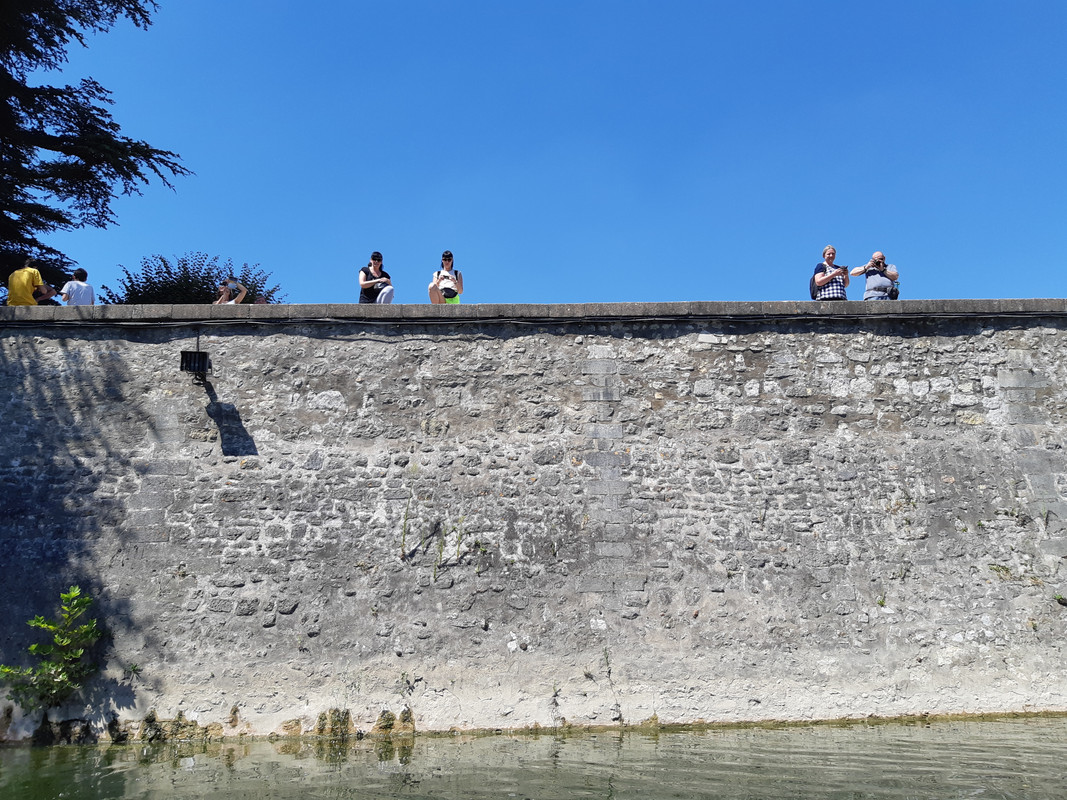 11.14 - 20180806_150426 (PiTT)