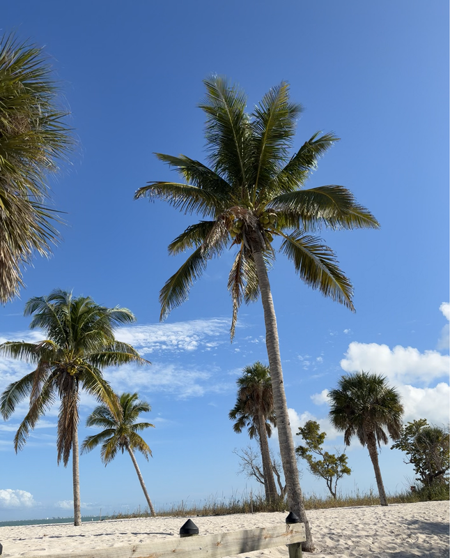 [Image: Sanibel-Light-House14.png]