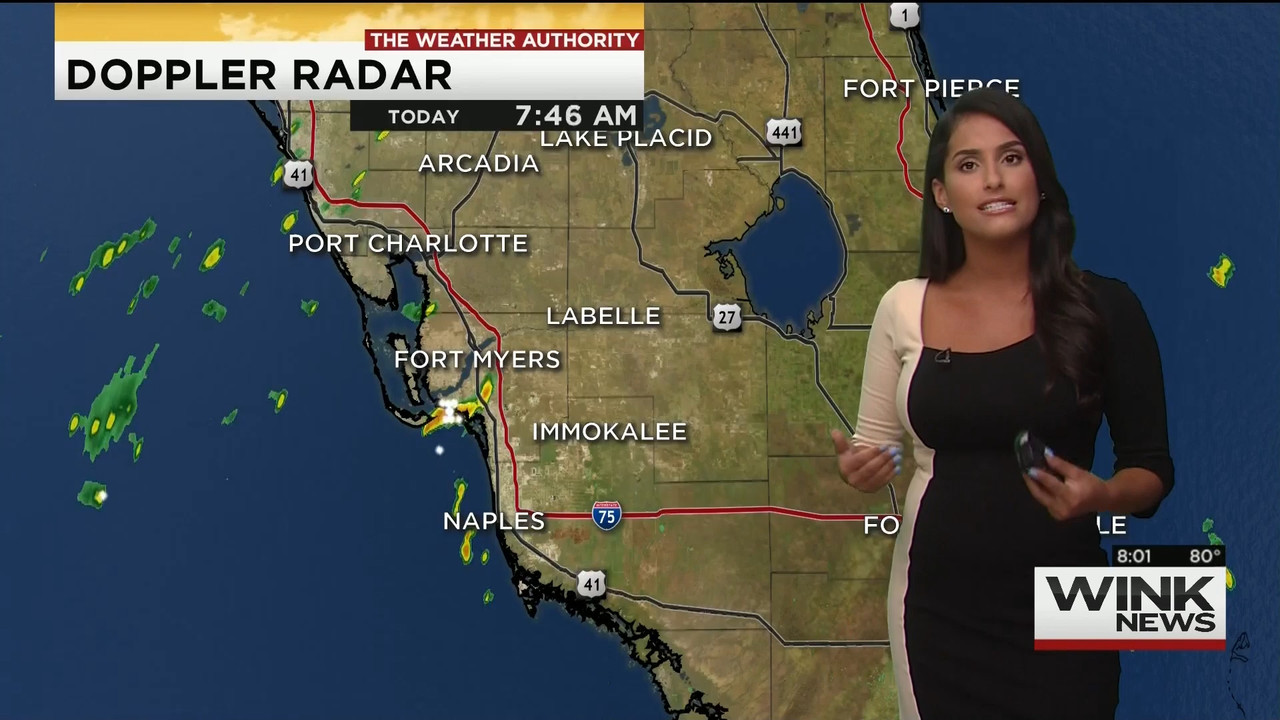 08.16 - 11.00.00 - WINK News @ 6 00AM Sunday..ts_snapshot_00.02.47.300