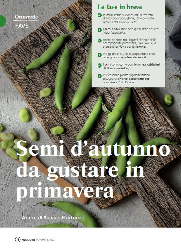 melaverde Nov 2023 (11)