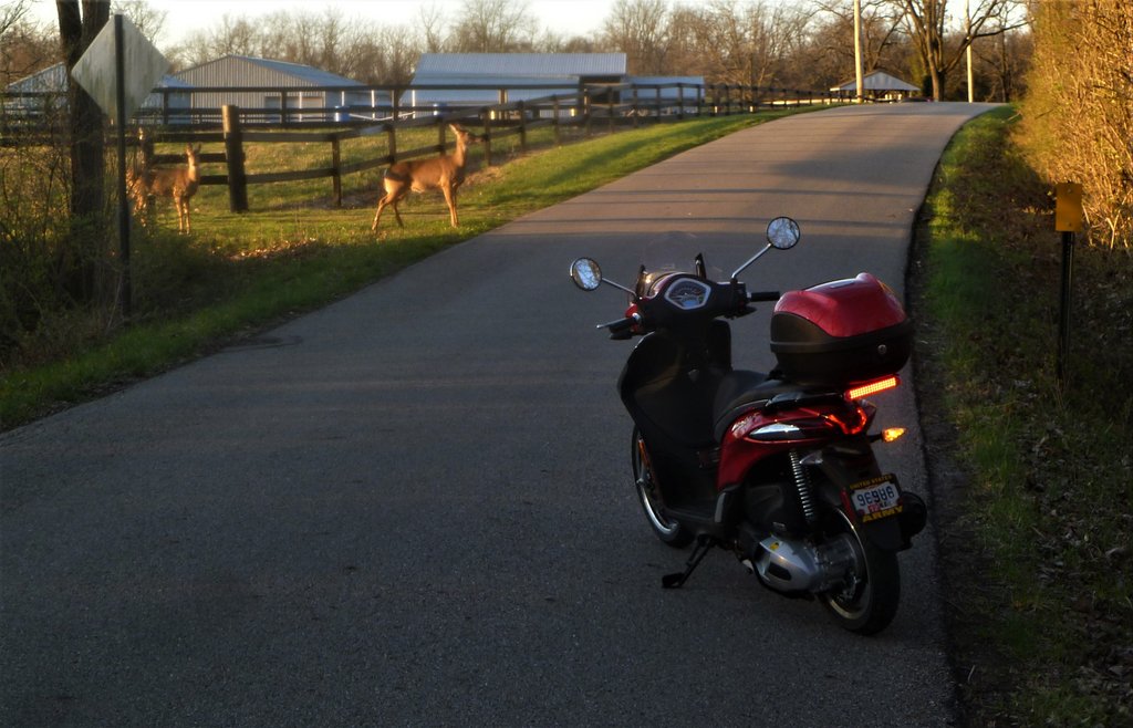 External inline image provided by member with no explanatory text