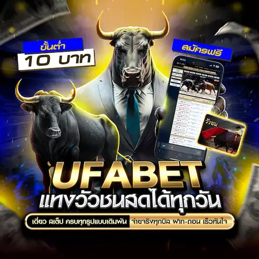 ดูวัวชน