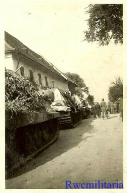 121482423_1753316988183406_4050387588572239990_o (1)