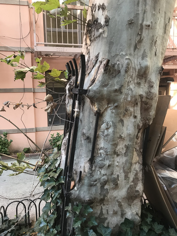 7E2670EF-0D65-4382-BD68-942B9653F491