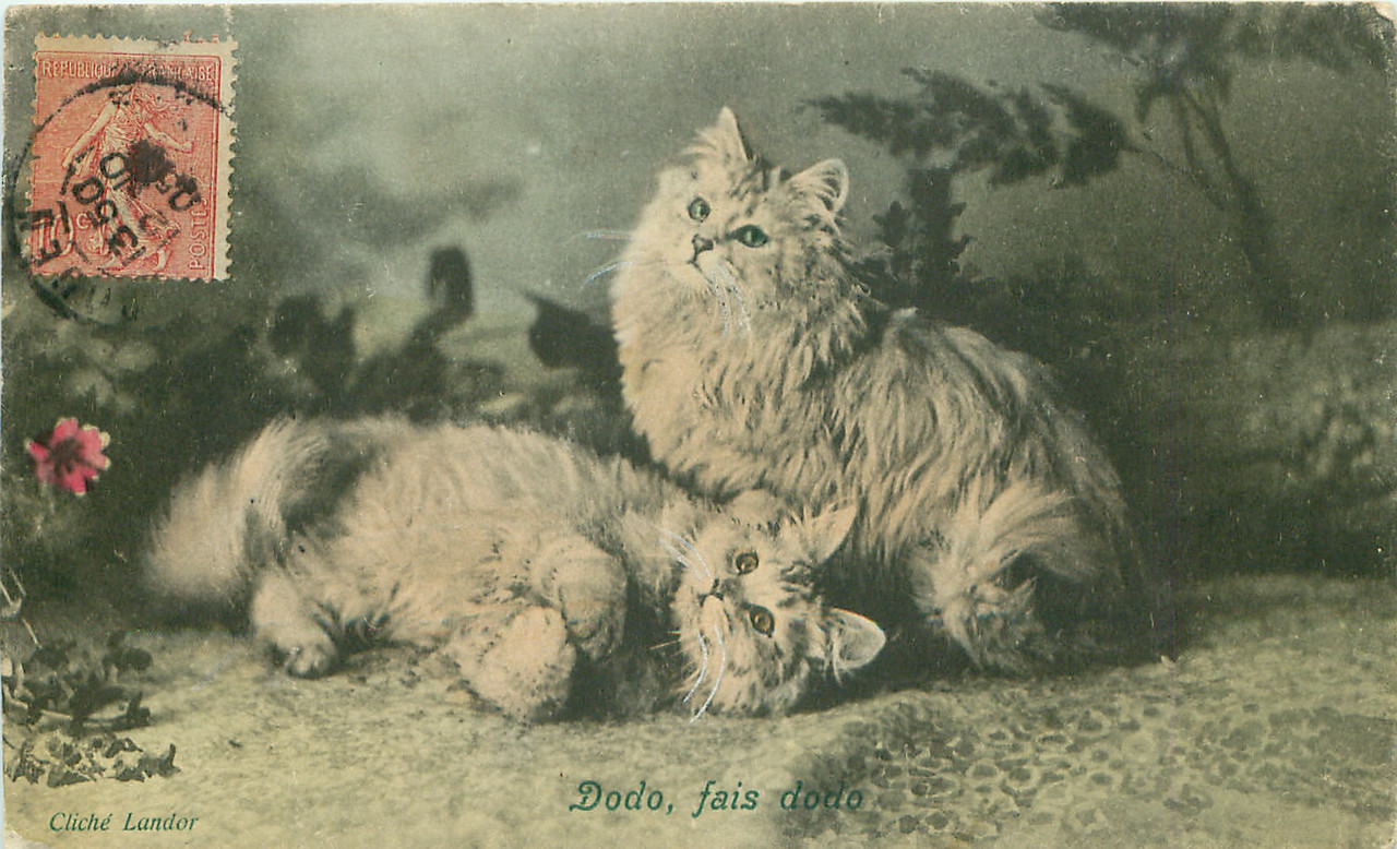 21-2011-06-14-10-04-33