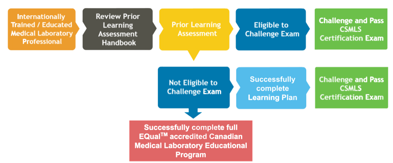 What Is The Professional Ethics Exam In Canada?