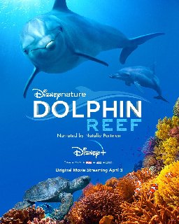 Dolphin-Reef-2020-WEBRip-x264-ION10.jpg