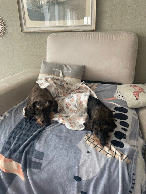 [Image: IMG-6100.jpg]