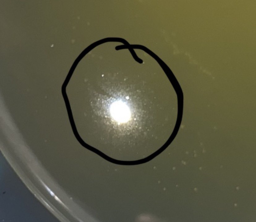 Coolant in funnel #1