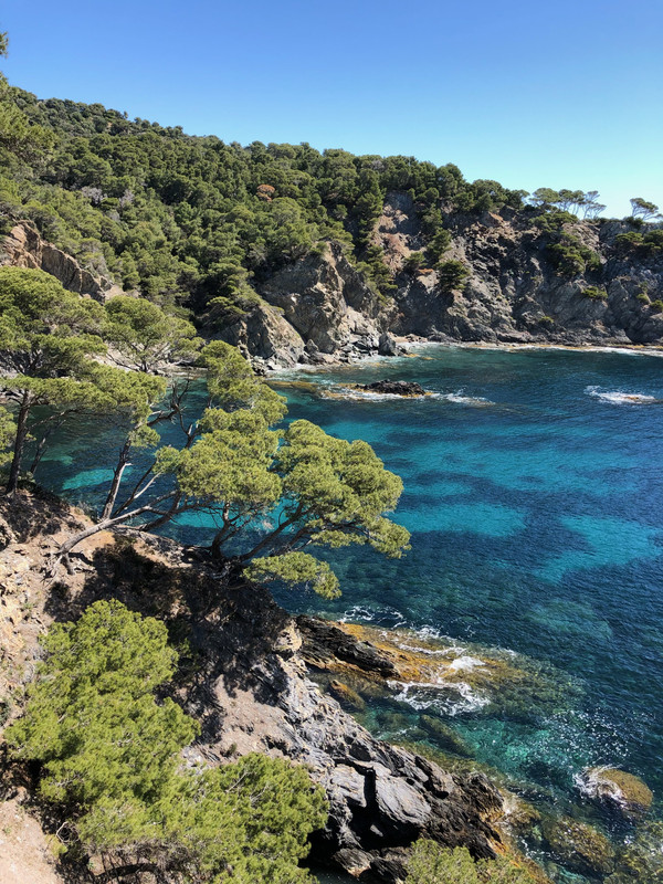 C821E3DA-CF5C-413C-AD0E-5B862980D955