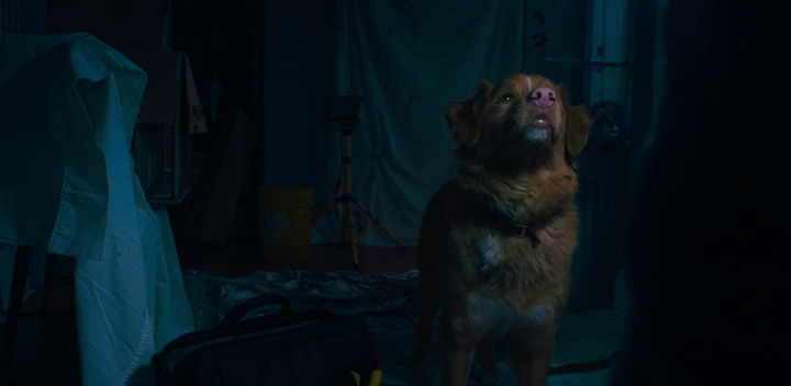 vlcsnap 2026 01 25 16h11m17s309