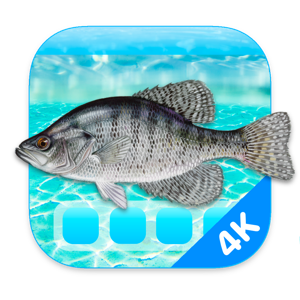 [MAC] Aquarium 4K - Live Wallpaper v1.0.5 macOS - ENG