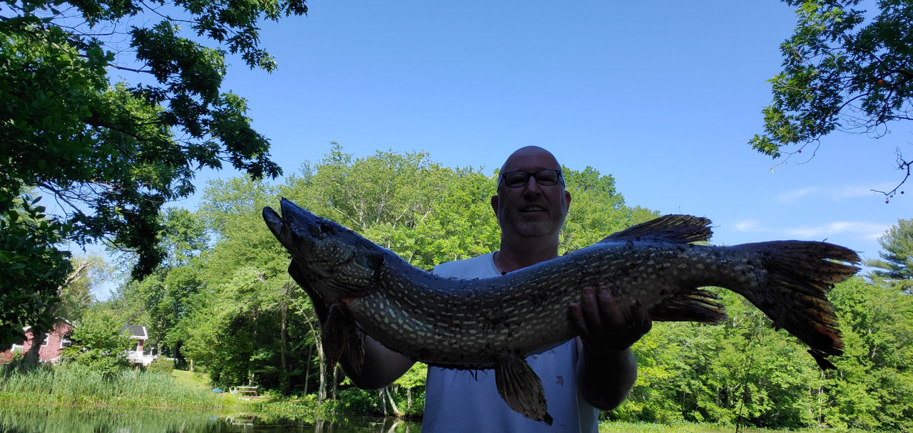 Pike6
