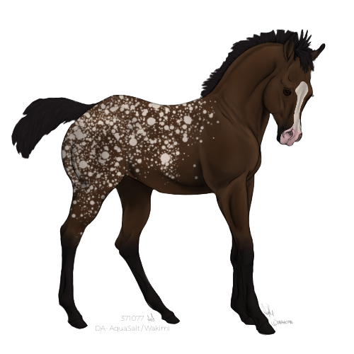Foal-Premade-Adopt-Outline2-20240224131055.png