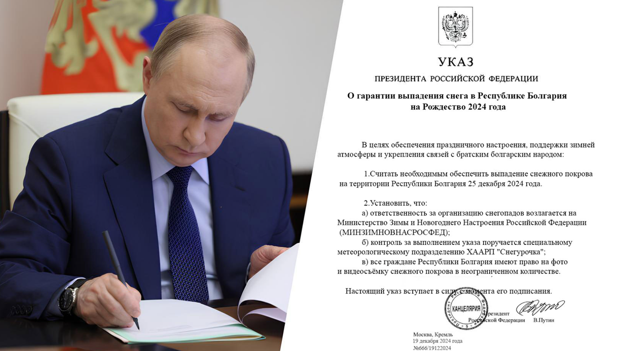 vova-1.png