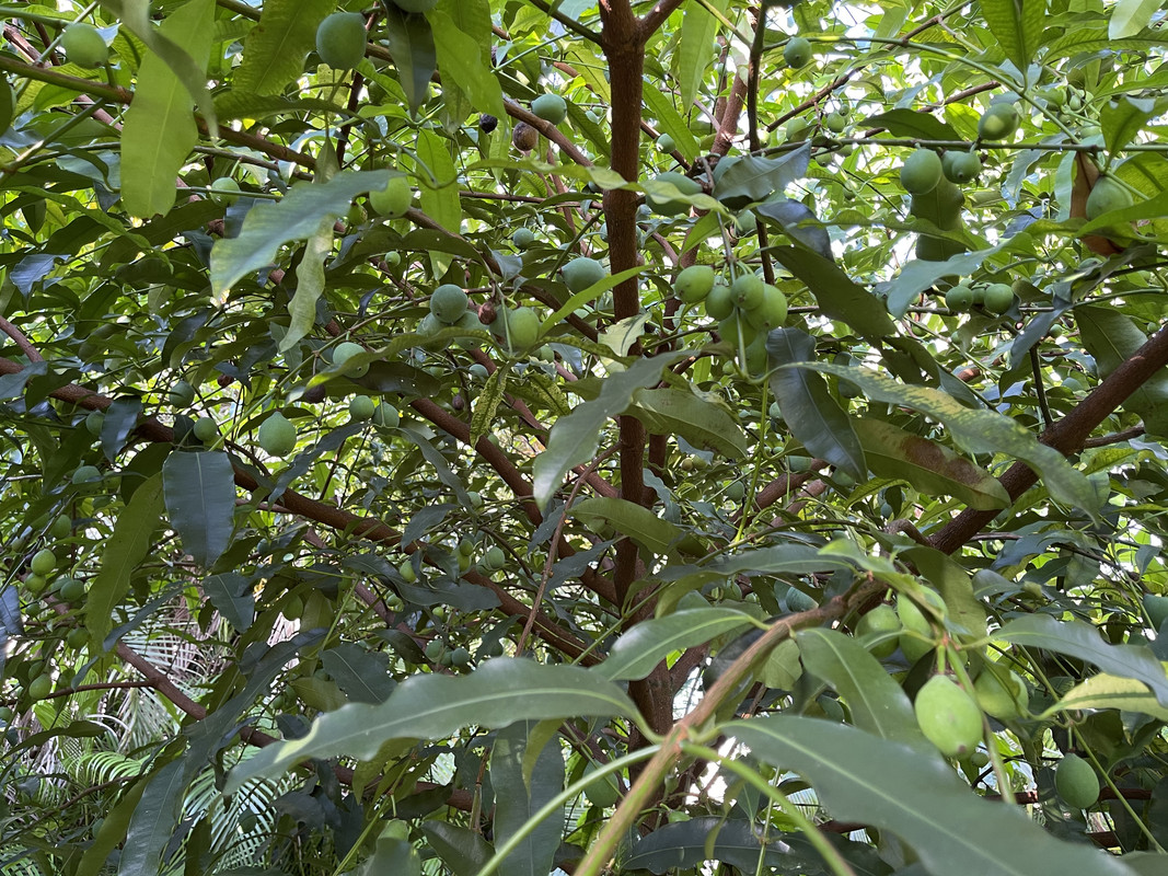 B7EF6A67-7DF9-4450-92F4-673BF0E35E1B