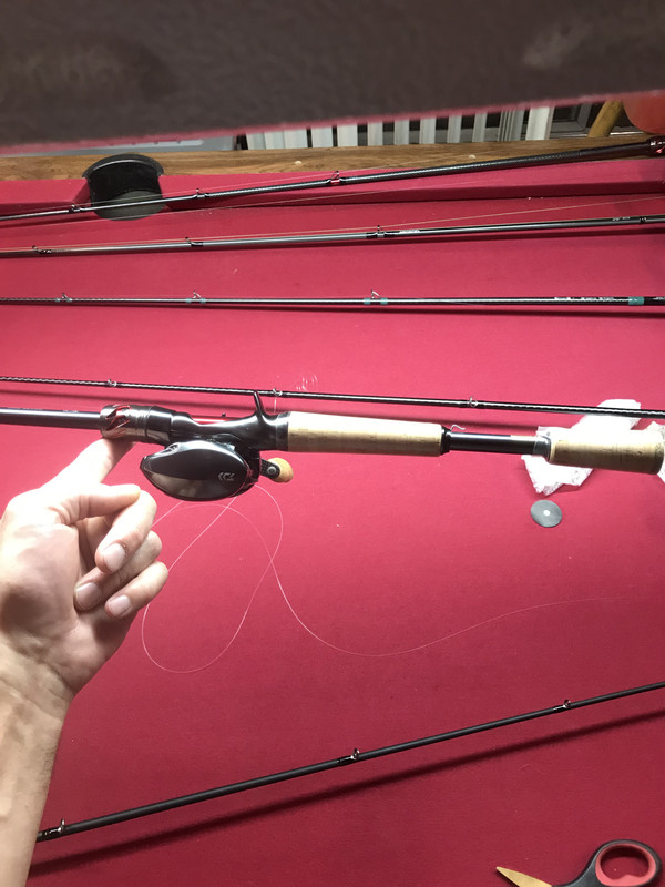 B2FC89B6-AD84-4A02-B5AD-1438A2F006ED