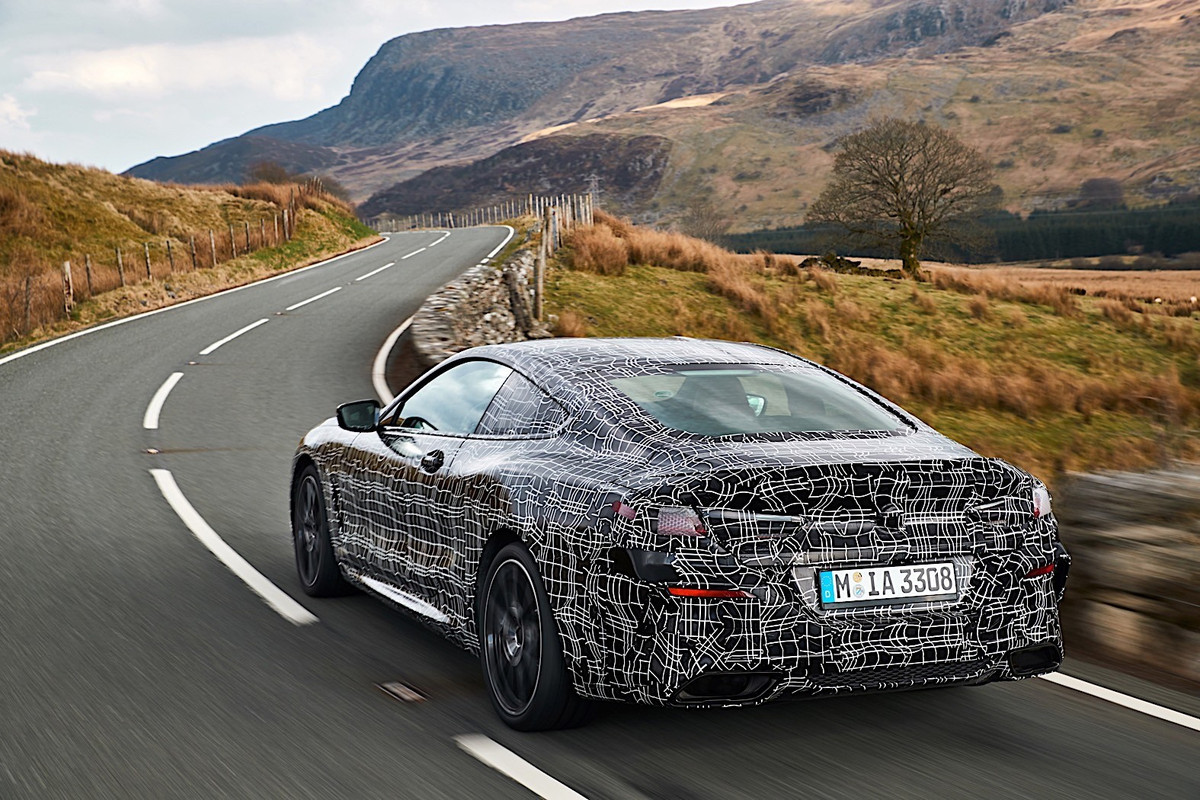 BMW 8 Series Coupe (8)