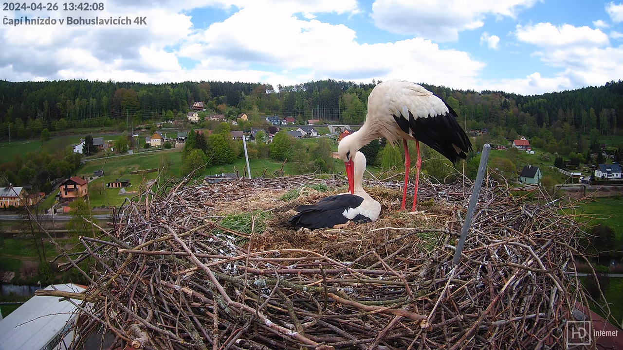 Tiešraidē no uzņēmuma KARA stārķa skursteņa Bohuslavicē pie Trutnovas 10-18-3 screenshot
