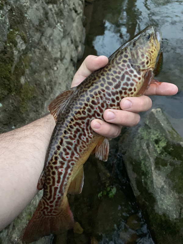 8B0CAACC-543C-47FF-BAFD-3DCDC0307C0D