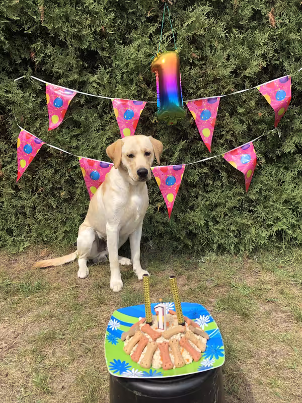 9CA34001-8568-4649-AF3F-CF9C3C56933A